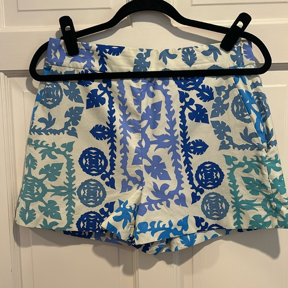 Zara Shorts